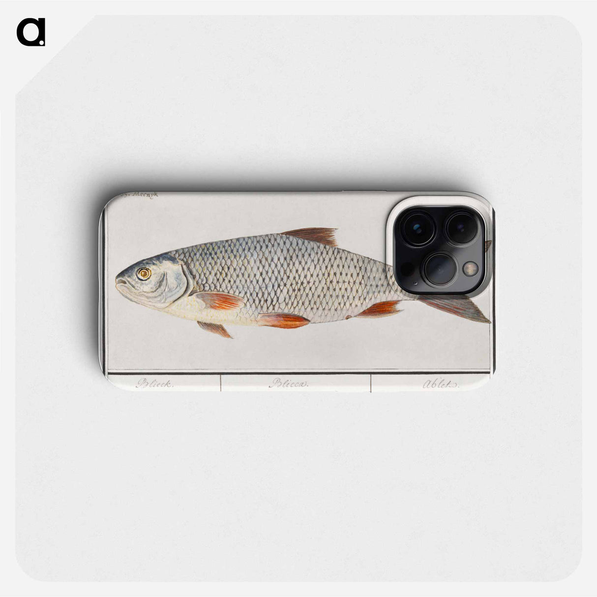 Kolblei or blei, Blicca bjoerkna - アンセルムス ボエティウス デ ブート Phone Case.
