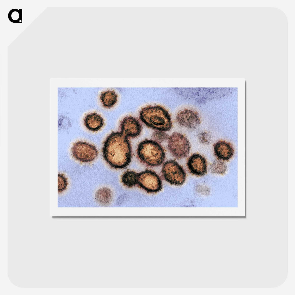 2-40_COVID-19_hagaki