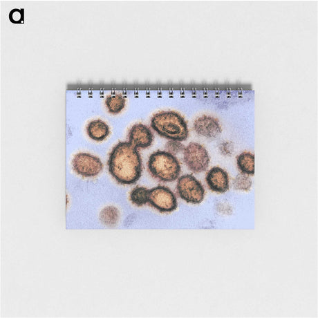 2-40_COVID-19_memo