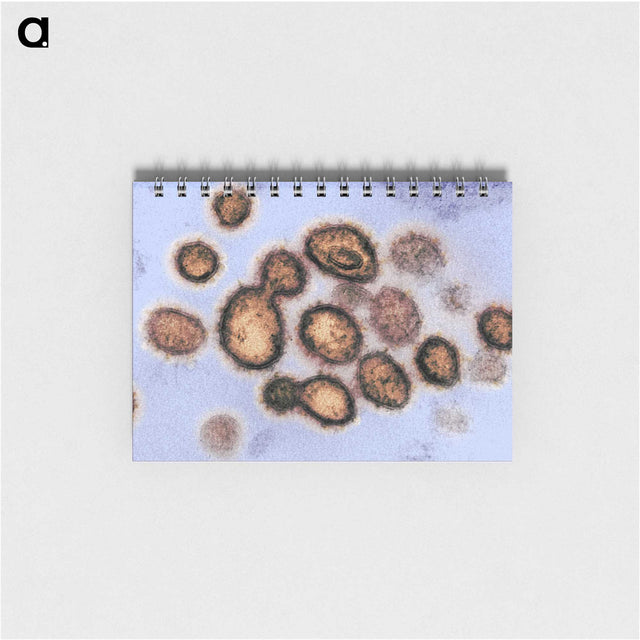 2-40_COVID-19_memo