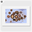 2-40_COVID-19_picture