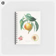 アートメモ帳-Chancellière Fruit Tree
 - クリーブランド美術館 Memo.