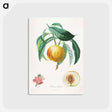 アートポストカード-Chancellière Fruit Tree
 - クリーブランド美術館 Postcard.