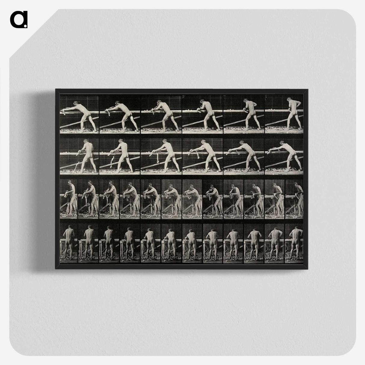 2-40_Eadweard-Muybridge_blk-crop
