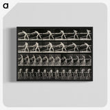 2-40_Eadweard-Muybridge_blk-crop