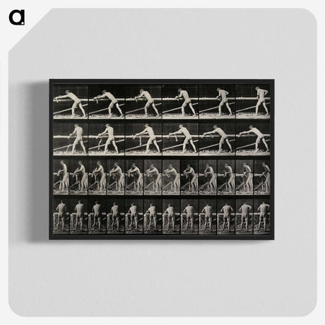 2-40_Eadweard-Muybridge_blk-crop