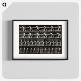 2-40_Eadweard-Muybridge_blk
