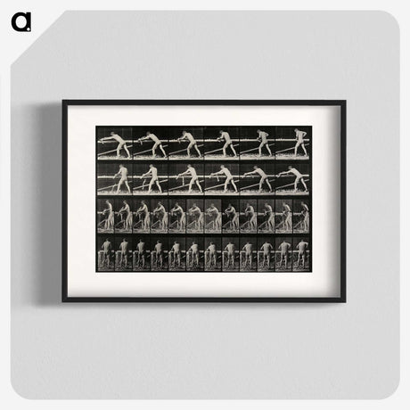2-40_Eadweard-Muybridge_blk