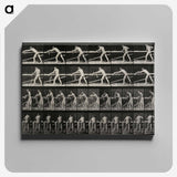2-40_Eadweard-Muybridge_canvas