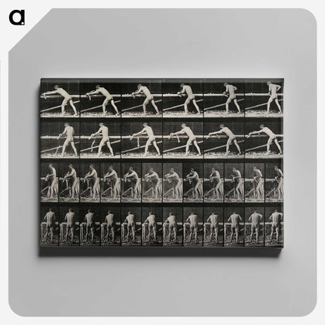 2-40_Eadweard-Muybridge_canvas