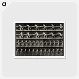 アートポストカード-Carpenter Planing a Board
 - エドワード マイブリッジ Postcard.