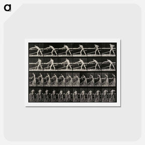 アートポストカード-Carpenter Planing a Board
 - エドワード マイブリッジ Postcard.