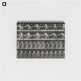 2-40_Eadweard-Muybridge_memo