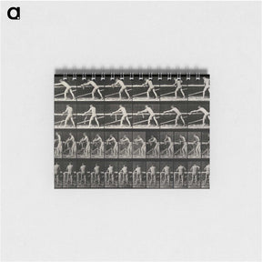 2-40_Eadweard-Muybridge_memo