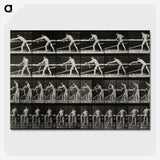 2-40_Eadweard-Muybridge_picture-crop