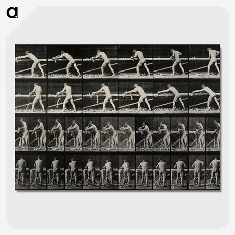 2-40_Eadweard-Muybridge_picture-crop