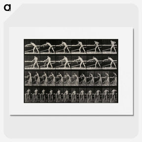 2-40_Eadweard-Muybridge_picture