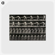 2-40_Eadweard-Muybridge_postcard
