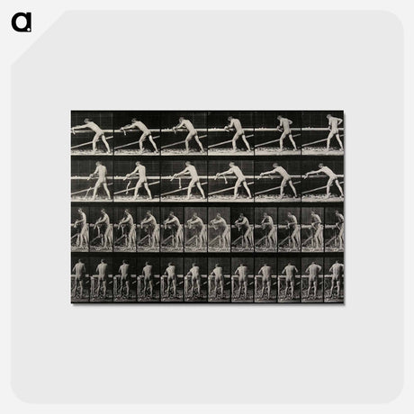 アートポストカード-Carpenter Planing a Board
 - エドワード マイブリッジ Postcard.