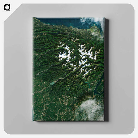 アートパネル-Olympic National Park Landscape
 - 上空からの地球 Canvas.