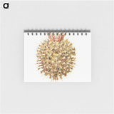 2-40_Ernst-Haeckel_memo