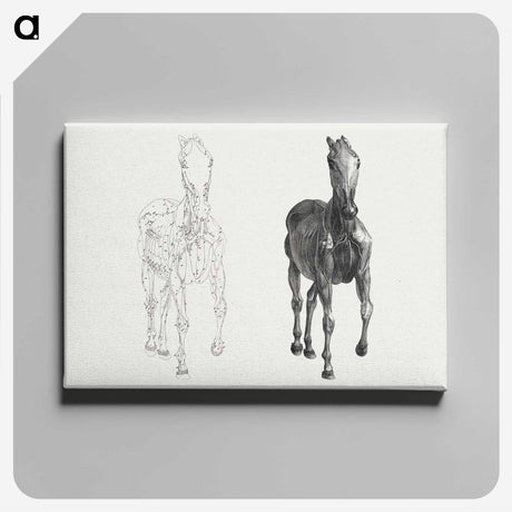 2-40_George-Stubbs_canvas