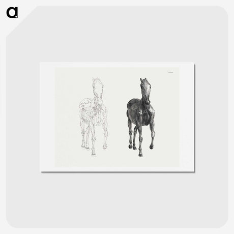 2-40_George-Stubbs_hagaki