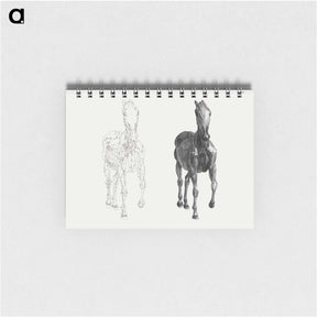 アートメモ帳-The Anatomy of the Horse
 - ジョージ スタッブス Memo.