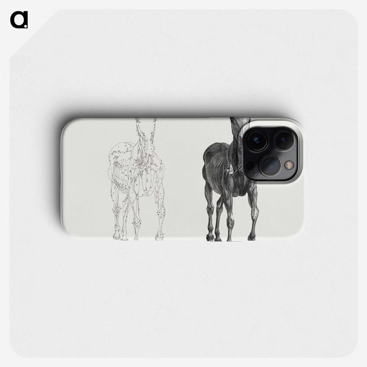 2-40_George-Stubbs_phone