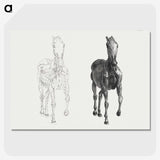 2-40_George-Stubbs_picture-crop