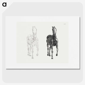 2-40_George-Stubbs_picture