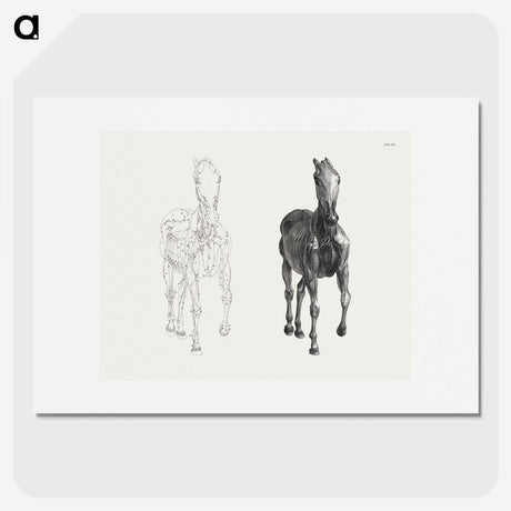 2-40_George-Stubbs_picture