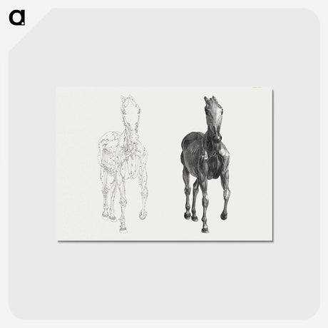 2-40_George-Stubbs_postcard