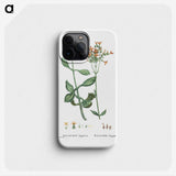 2-40_Histoire-des-Plantes-Grasses_phone