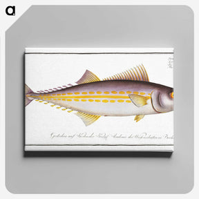 2-40_Ichtyologie-ou-Histoire-naturelle_canvas