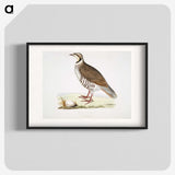2-40_Indian-Zoology_blk