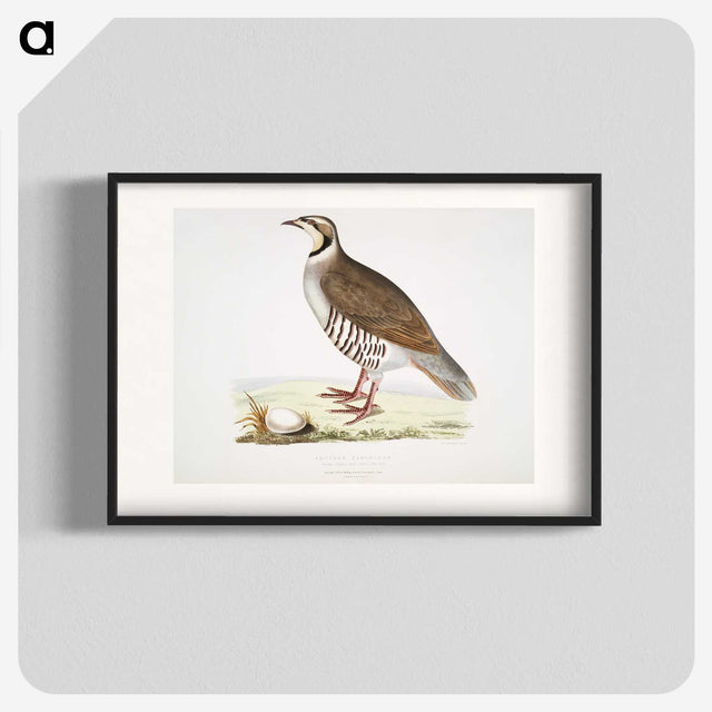 2-40_Indian-Zoology_blk