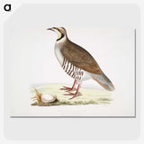 2-40_Indian-Zoology_picture-crop