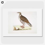 2-40_Indian-Zoology_picture