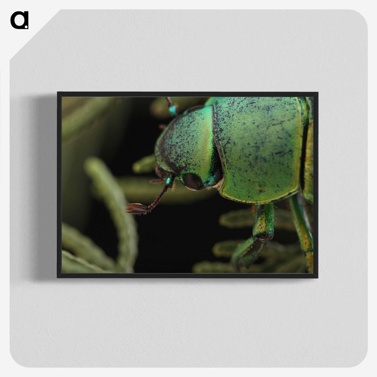 2-40_Insects-Unlocked-Project_blk-crop
