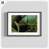 2-40_Insects-Unlocked-Project_blk