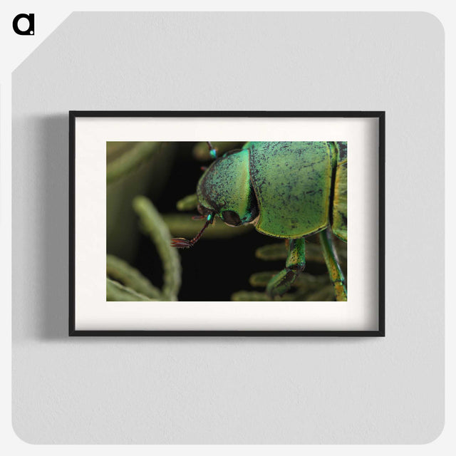 2-40_Insects-Unlocked-Project_blk