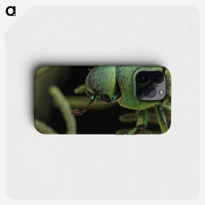 2-40_Insects-Unlocked-Project_phone