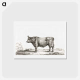 アートポストカード-Standing bull - ジャン ベルナール Postcard.