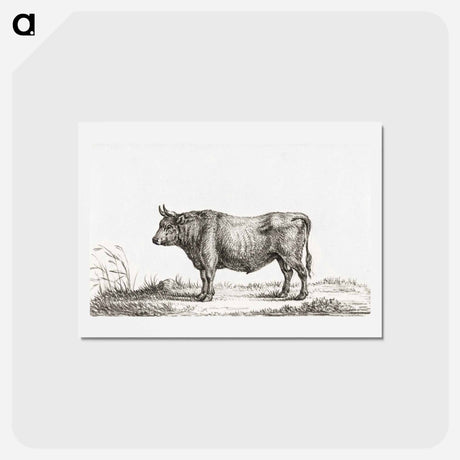 アートポストカード-Standing bull - ジャン ベルナール Postcard.