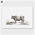 2-40_Jean-Bernard_picture