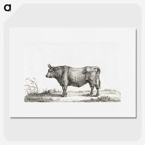 2-40_Jean-Bernard_picture
