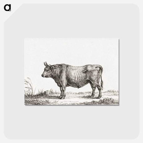 アートポストカード-Standing bull - ジャン ベルナール Postcard.