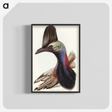 2-40_John-Gould_blk-crop