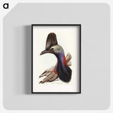 2-40_John-Gould_blk